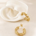 Argollas Donatella