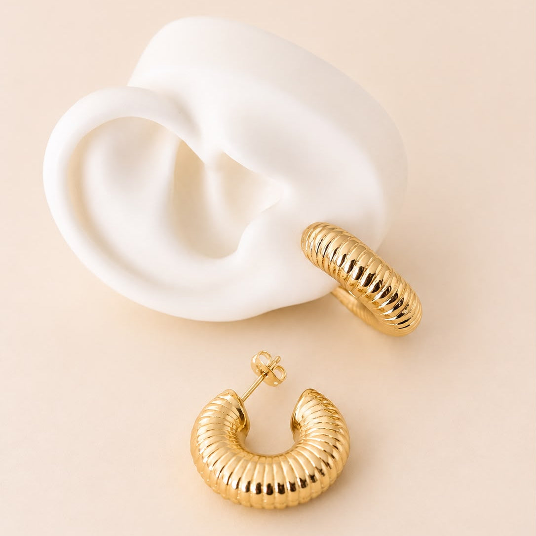Argollas Olivia
